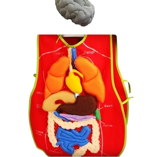 Imagen no disponible